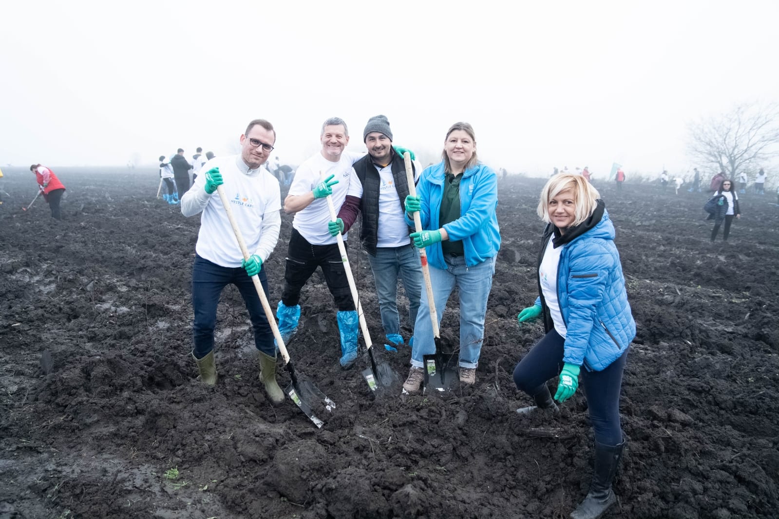 Plantare_Oltenita_2025